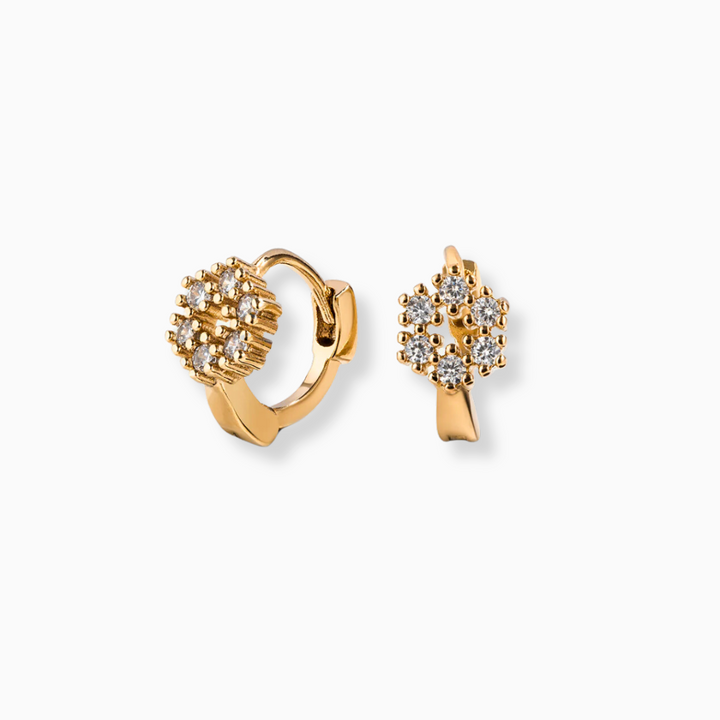 Aretes Calista